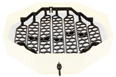 System CLEO IPEE-5, quail eggs