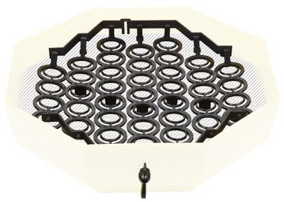 System CLEO IPEE-6, Fazan eggs