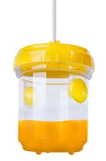 Trap Strend Pro Wabee, 9x13 cm, hornet and wasp catcher