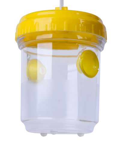 Trap Strend Pro Wabee, 9x13 cm, hornet and wasp catcher