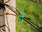 Tie TUBETTO EXTRA 3 mm, for vines, 1 kg, binding, UV