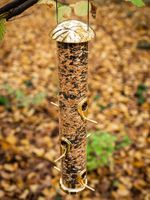 Feeder Strend Pro, for birds, 7x44 cm, 430 ml, plastic