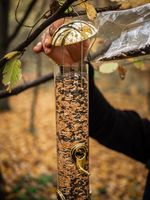 Etető Strend Pro, madaraknak, 7x44 cm, 430 ml, műanyag