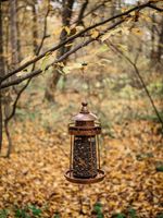 Feeder Strend Pro, for birds, 32x17 cm, 950 ml, plastic, metal grid