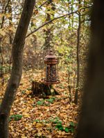 Feeder Strend Pro, for birds, 32x17 cm, 950 ml, plastic, metal grid