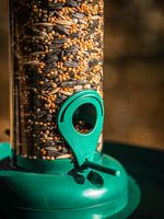 Feeder Strend Pro, for birds, 23x21 cm, 370 ml, plastic