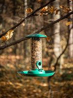 Feeder Strend Pro, for birds, 23x21 cm, 370 ml, plastic