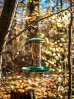 Feeder Strend Pro, for birds, 23x21 cm, 370 ml, plastic