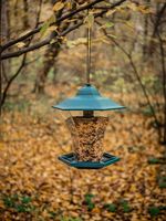 Feeder Strend Pro, for birds, 29x30 cm, 1100 ml, plastic