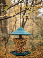 Feeder Strend Pro, for birds, 29x30 cm, 1100 ml, plastic