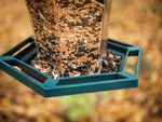 Feeder Strend Pro, for birds, 29x30 cm, 1100 ml, plastic