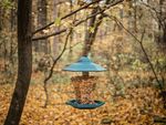 Feeder Strend Pro, for birds, 29x30 cm, 1100 ml, plastic