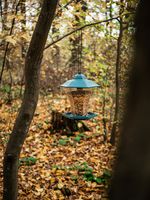 Feeder Strend Pro, for birds, 29x30 cm, 1100 ml, plastic