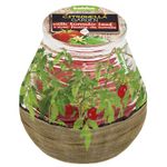 Candle Bolsius Terrace Citronella, repellent, 94/91 mm, tomato