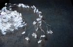 String lights MagicHome Twisted Stars 180S, 180x micro star cool white LED, steady light, 230V, 50 H