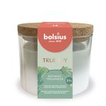 Candle Bolsius True Joy Botanic Freshness, scented, 75/80 mm, in glass