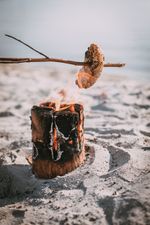 Swedish torch Strend Pro WOODSON, portable fire pit, natural stove, cooking log, camping, campfire,