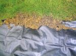 Geotextília Kertészeti H1107, 2,1x100 m, 100 g/m2, szövött, fekete
