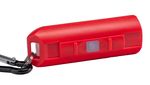 Keychain Light Strend Pro, pendant, with carabiner, assorted colors, LED 75 lm, USB charging, 74x25x