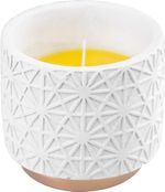 Candle Citronella, white, 110x100 mm