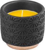 Candle Citronella, black, repellent, in decorative pot, 200 g, 110x100 mm