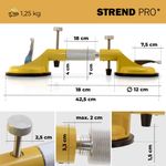 Glass holder Strend Pro, suction cup, 2-dome, suction cup, leveling aid for tiles and cladding, max.