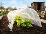 Cold Frame Strend Pro Greenhouse, mini foil greenhouse, 55x300x40 cm