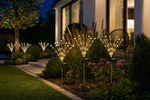 Lamp Strend Pro Garden Floro, solar, 42xLED, 66 cm