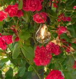 Žiarovka Strend Pro, kempingové, LED, 100 lm, 400 mAh, USB-C nabíjanie, svietidlo