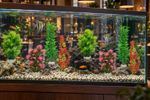 TATRAPET aquarium plant, artificial decoration, weighted base, 16-20cm, assorted designs, pack of 8