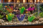 Akváriová rastlina TATRAPET, umelá dekorácia, so záťažou, 10-12cm, mix dizajnov