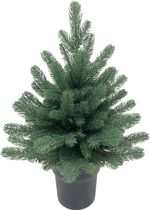 Tree MagicHome Christmas Firian, 3D, fir in pot, 60 cm