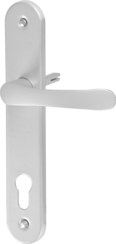 Oval shield and oval handle set Michaela V90, silver