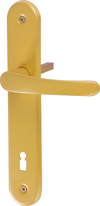 Oval shield and oval handle set Michaela K90, gold