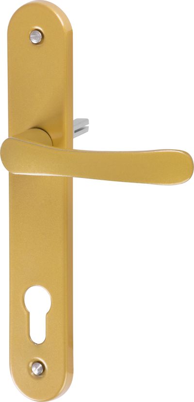 Oval shield and oval handle set Michaela V90, golden