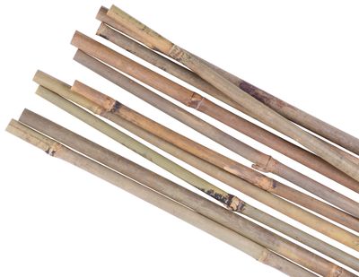 Stick Garden KBT 0900/08-10 mm, 10 pcs, bamboo, for plants support