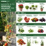 Karó Garden KBT 900/10-12 mm, csomag 10 db, bambusz, növény- és paradicsomtámasz