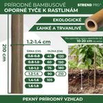 Support Rod Garden KBT 2100/12-14 mm, pack of 10 pcs, bamboo, for plants