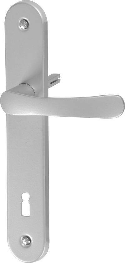 Oval shield and oval handle set Michaela K90, silver