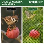 Sieť Strend Pro, 12x25 m, oko 25 mm, proti vtákom, PE