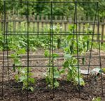 Net Strend Pro, for cucumbers, with frame, 1.8x1.8 m