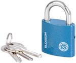 Lock Blossom 2538, 38 mm, padlock