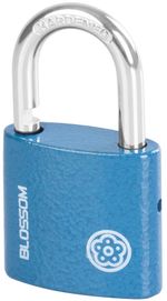 Lock Blossom 2538, 38 mm, padlock