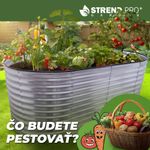 Bed Strend Pro Garden, raised, galvanized, 100x200x78 cm