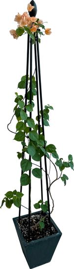 Növénytámasz Strend Pro, 4 lábú, 150 cm