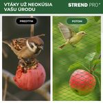 Net Strend Pro, 2x5 m, mesh 18 mm, anti-bird, PE