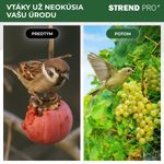 Sieť Strend Pro, 2x20 m, oko 18 mm, proti vtákom, PE