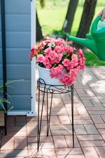 Stand Strend Pro, for flower pot, base, 27x53 cm