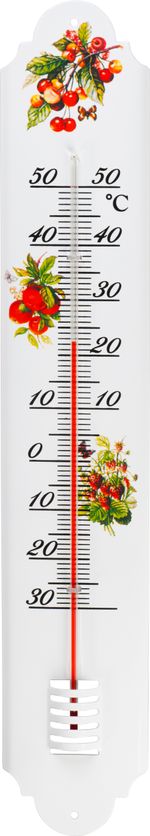 Thermometer Strend Pro TM-156 Country, outdoor, 500 mm, metal