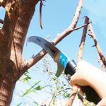 Hand Saw AQUACRAFT® 320075, 3D, AL, on a pole 150-300 cm, telescopic